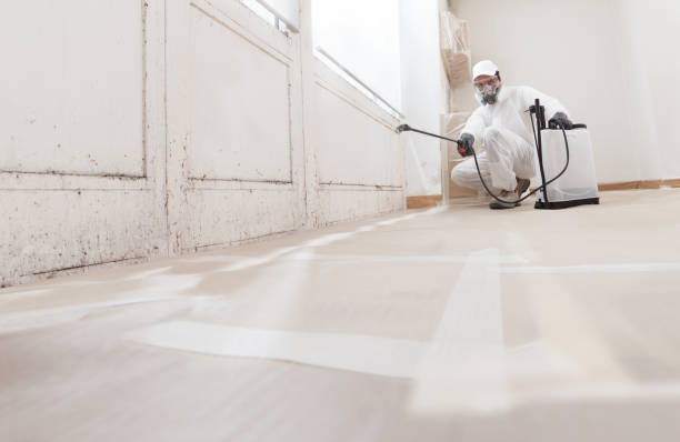 24/7 Emergency Attic Mold Removal experts in Newtonville, MA